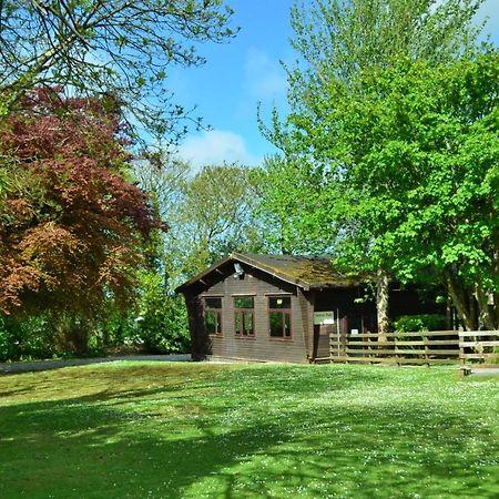 헤일 37 Trevithick Court, Tolroy Manor 빌라 외부 사진
